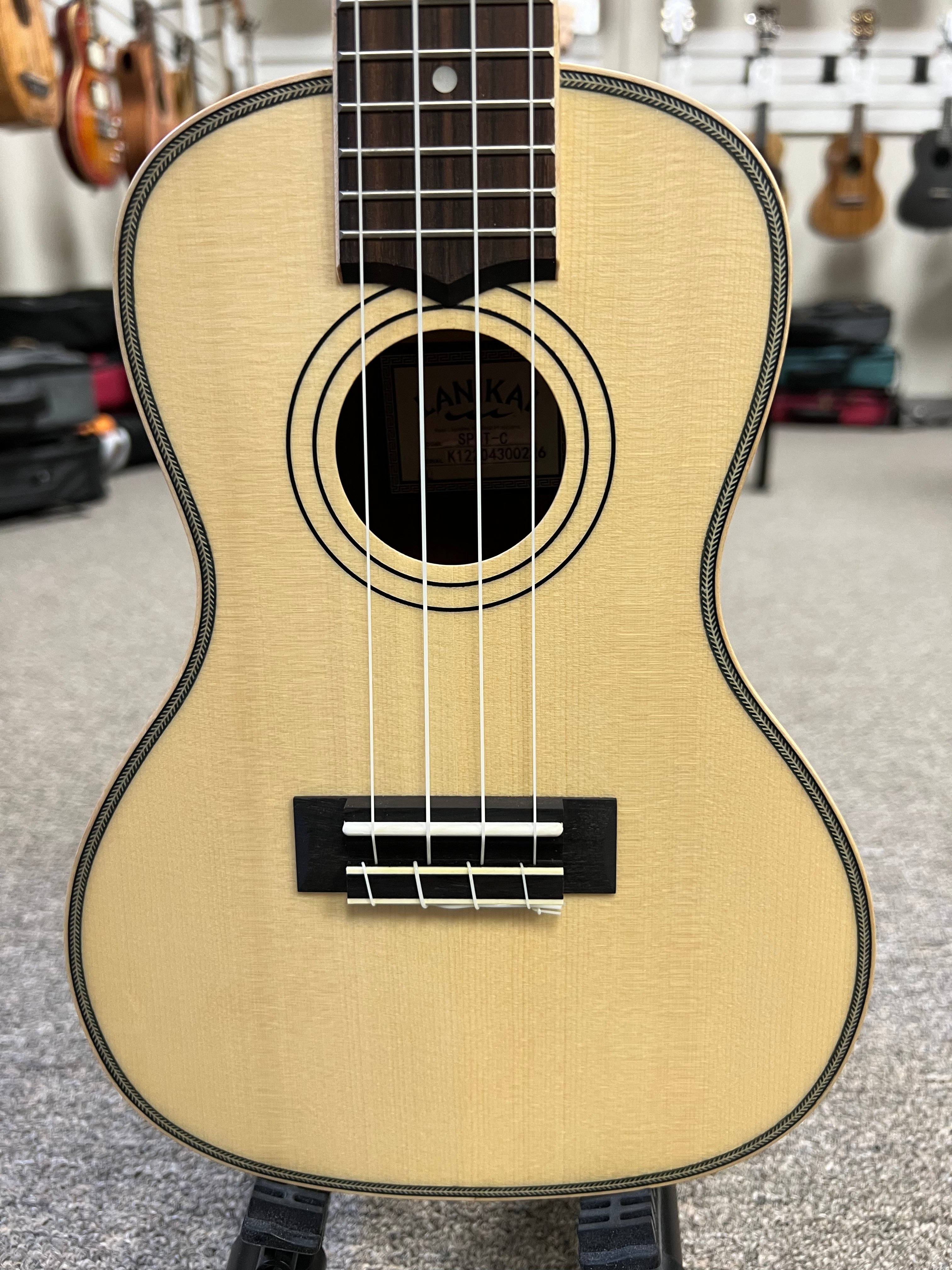 大幅値下げ‼️超希少【LanePoorPU】 Inner Wood エレキベース Lanikai SPST-C Concert Ukulele w/Case - Solid Spruce/Morado