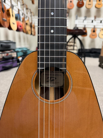 Romero Creations Vibrante Daniel Ho 6 String Solid Cedar/Rosewood