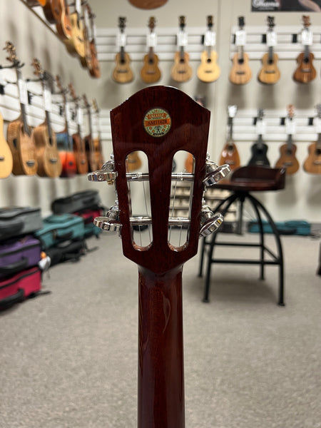 aNueNue AMM3 Solid Mahogany Tenor Ukulele w/Case