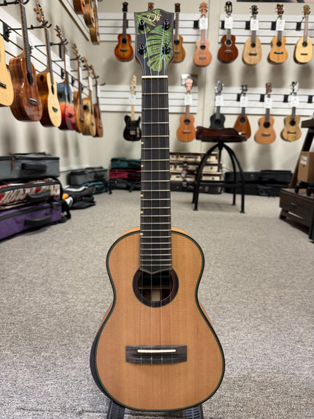 Oli L2-CCA-S Solid Cedar/Acacia Concert Ukulele w/Case