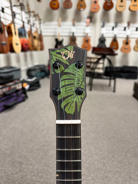 Oli L2-CCA-S Solid Cedar/Acacia Concert Ukulele w/Case