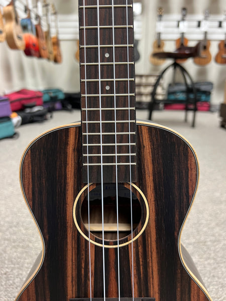 KALA KA-EBY-C Striped Ebony Ebony Concert Ukulele