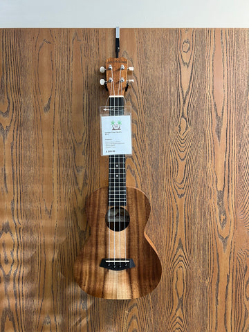 Ukulele Door/Cubicle Hanger - No Screws or Drilling Required - Portable Uke Hanger