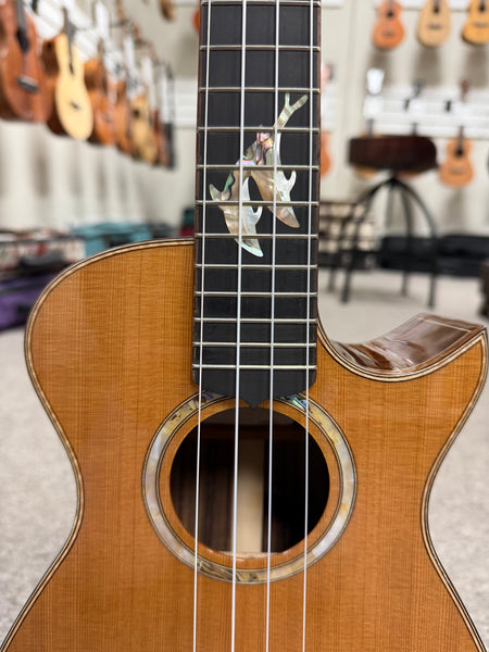 Maestro by Hozen Solid Spruce/Rosewood Custom Tenor Ukulele w/Case #2 - Island Series