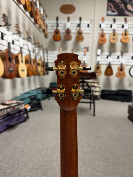 Maestro by Hozen Solid Spruce/Cocobolo Custom Tenor Ukulele w/Case - Island Series