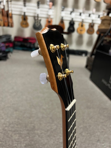 Rebel Double Cheese Soprano Ukulele w/Case - Matte Finish- Solid