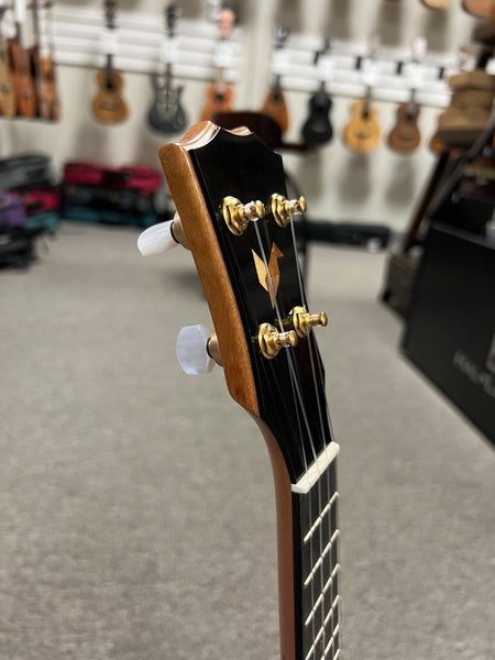 Rebel Double Cheese Soprano Ukulele w/Case - Matte Finish- Solid Spruce/Solid Mahogany