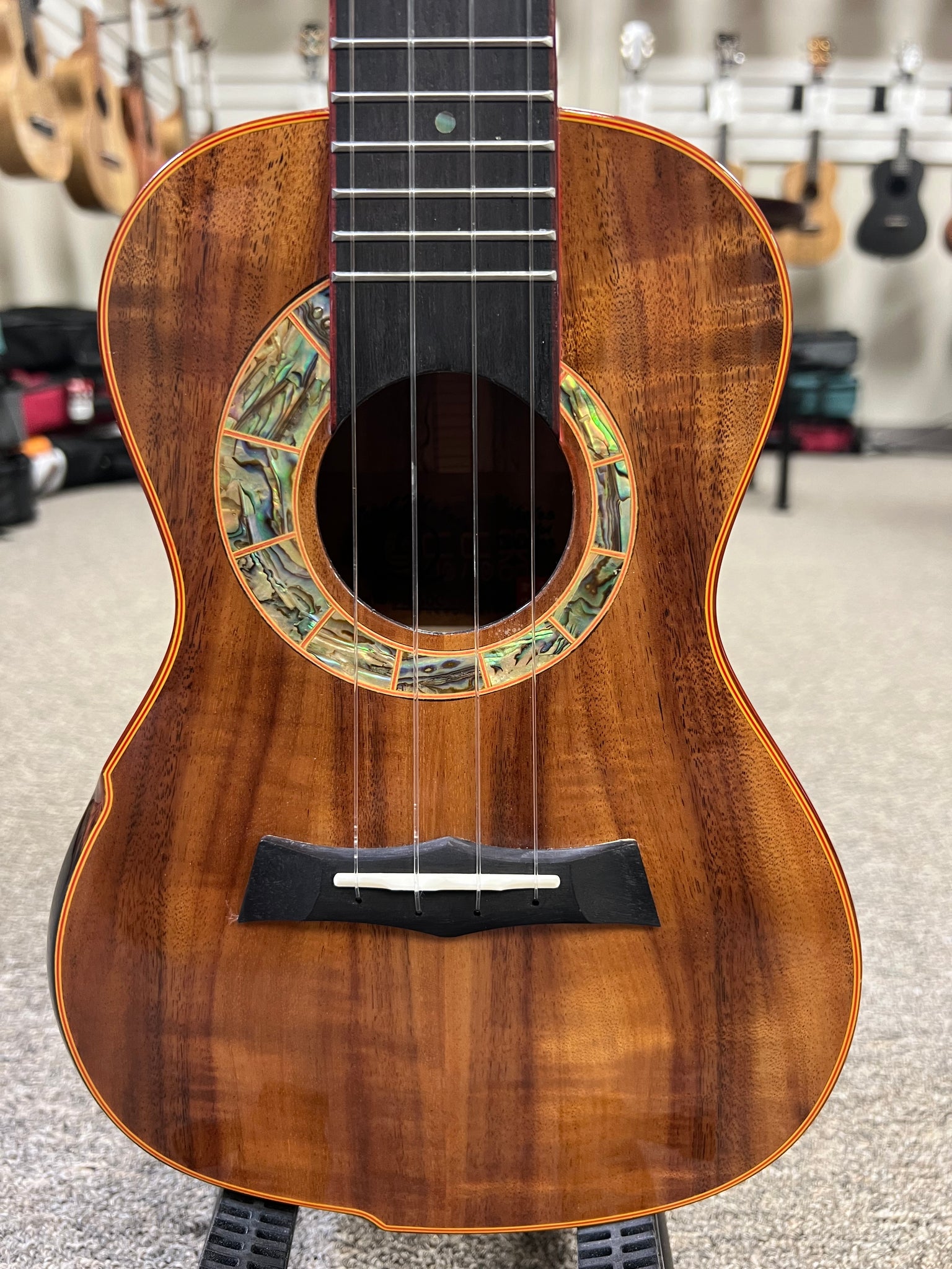 SNAIL S-60C Solid Acacia Concert Ukulele w/Case #3 - Comfort Armrest - Aloha City Ukes