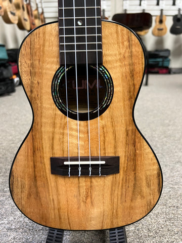 KUMU CM-68 Spalted Mango Concert Ukulele - Matte Finish - Aloha City Ukes