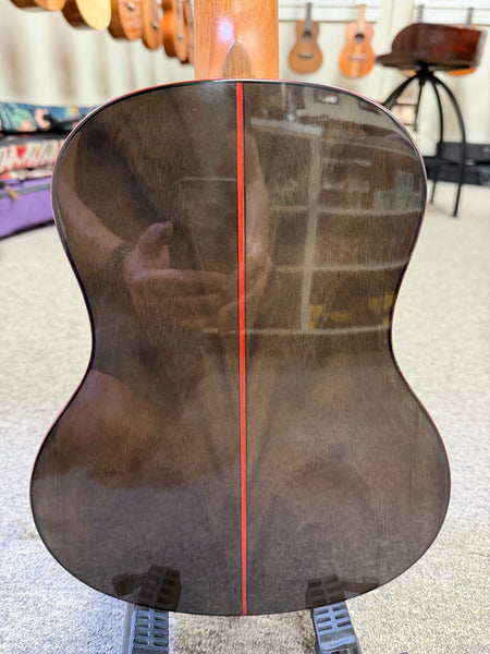 Flight Diana TE Electric Tenor Ukulele w/Case - Solid Cedar/Walnut