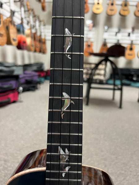 aNueNue Black Whale Solid Cedar/Maple/Rosewood Tenor Ukulele w/Case