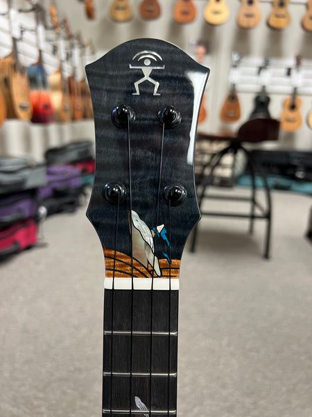 aNueNue Black Whale Solid Cedar/Maple/Rosewood Tenor Ukulele w/Case