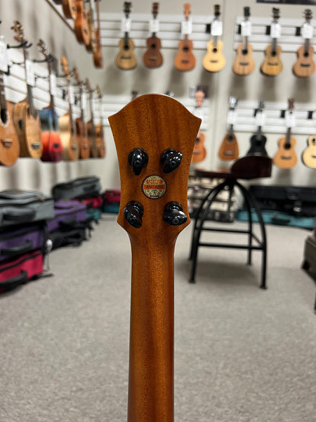 aNueNue Black Whale Solid Cedar/Maple/Rosewood Tenor Ukulele w/Case