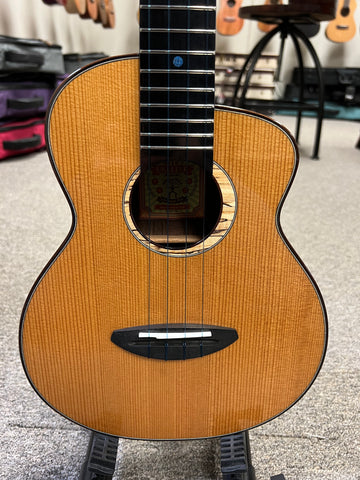 aNueNue UT-330 Blue Moon Tenor Ukulele w/Case -  Torrefied Spruce/Solid East Indian Rosewood