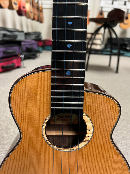 aNueNue UT-330 Blue Moon Tenor Ukulele w/Case -  Torrefied Spruce/Solid East Indian Rosewood