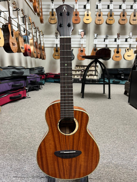 aNueNue UC-110 Solid Mahogany Bird Concert Ukulele w/Case