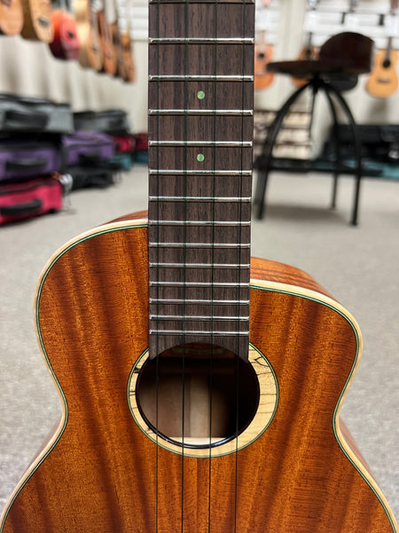 aNueNue UC-110 Solid Mahogany Bird Concert Ukulele w/Case