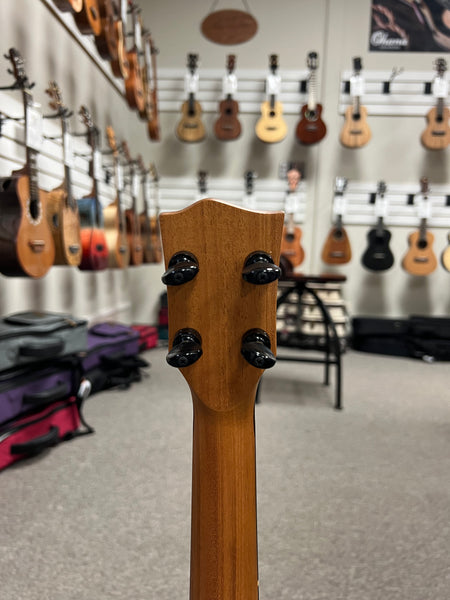 Oli L2-TSE Solid Spruce/Ebony Tenor Ukulele w/Case