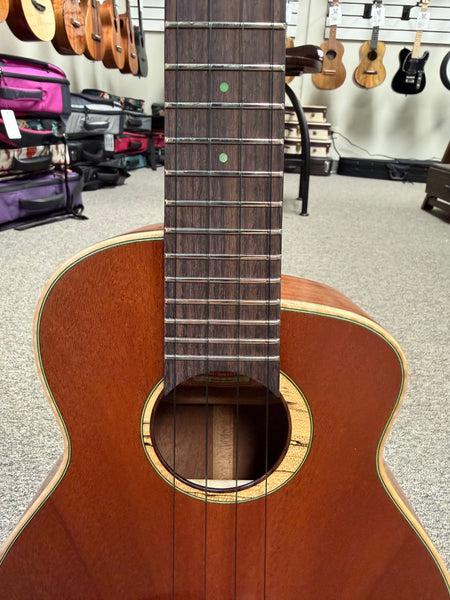 aNueNue UC-110 Solid Mahogany Bird Concert Ukulele w/Case
