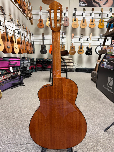 aNueNue Nino N520SP Solid Spruce/Mahogany 6 String Baritone Ukulele/Mini Guitar w/Case - Summer Pink