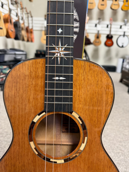 KALA KA-WP-MNG-GB-E Wypoint Solid Mango Grand Baritone Steel String Electric Ukulele w/Case