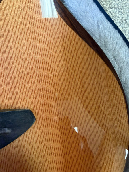 aNueNue UT-214 Cedar Bird Solid Cedar/Rosewood Tenor Ukulele w/Case - Pre Loved #2
