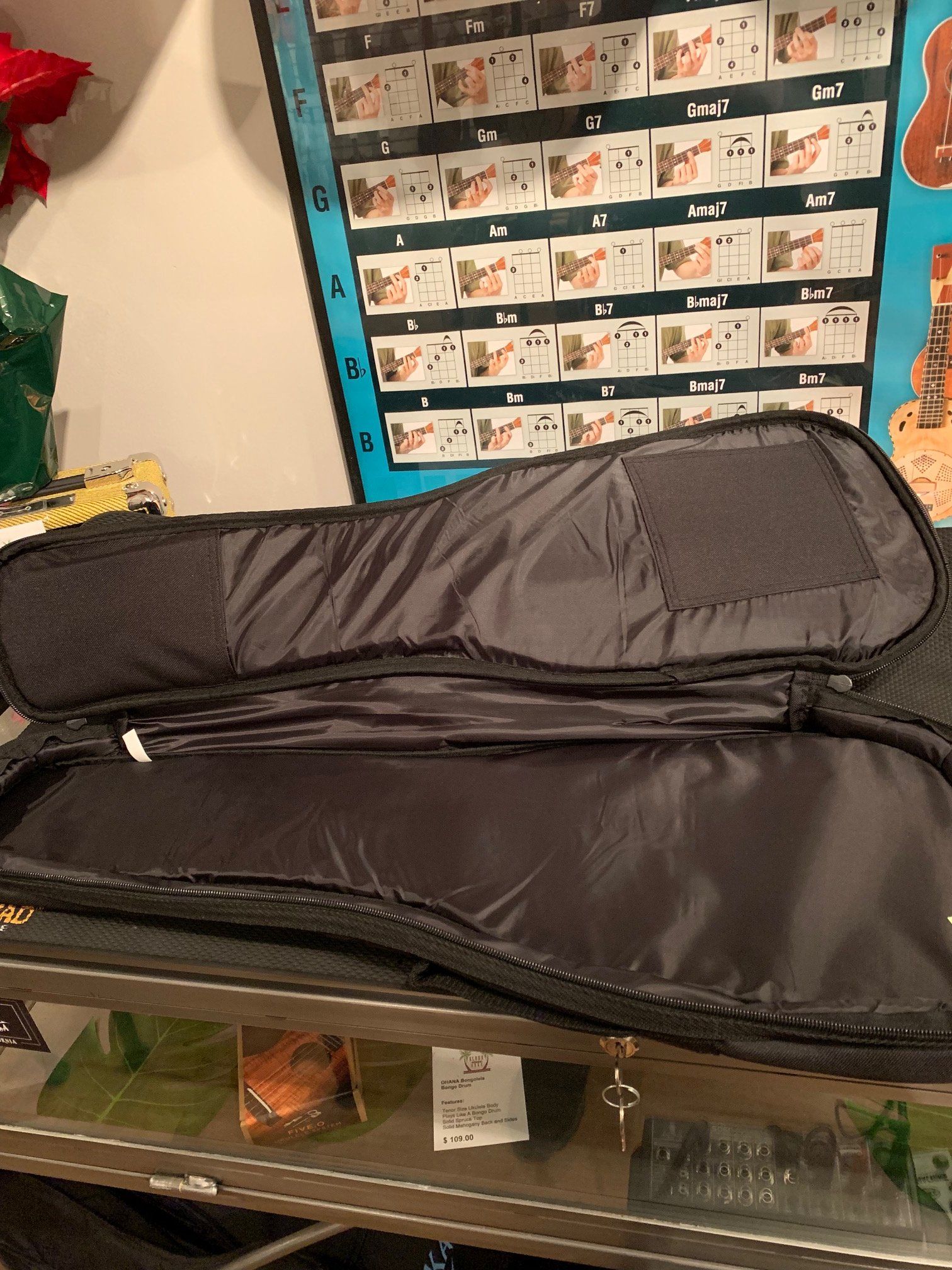 Bass best sale ukulele case