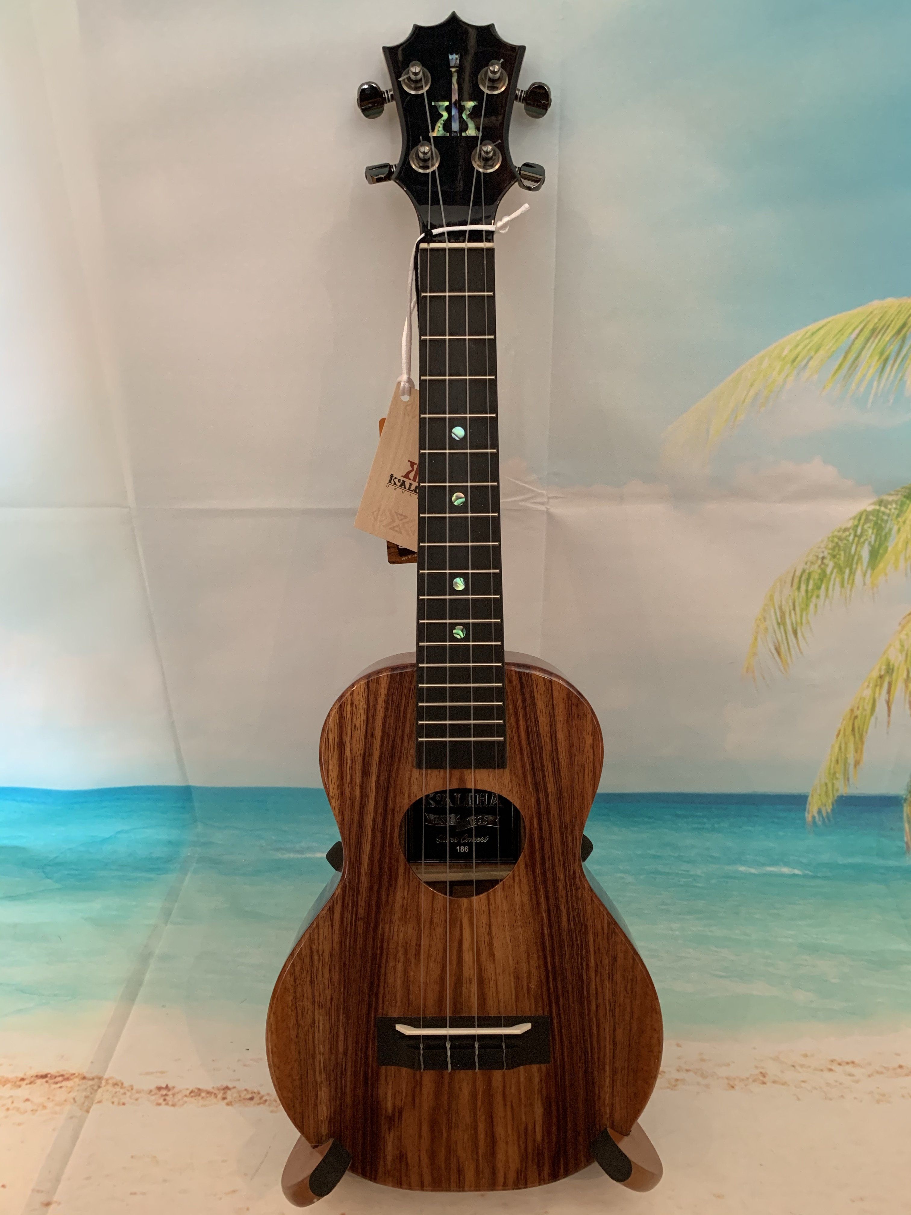 KoAloha KCM-25 25th Anniversary Concert Ukulele - Solid Hawaiian